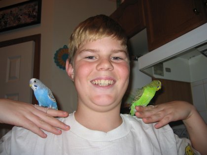Sean and the Birds
