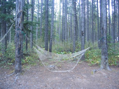 The old hammock in the same place it'd been over 10 years ago