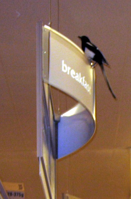 The Magpie atop a Breakfast sign