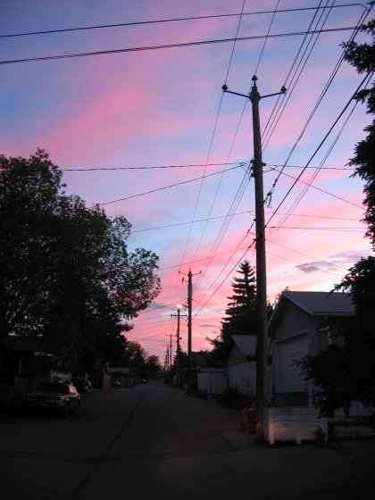 The famous Summer's Evening view from my back alley