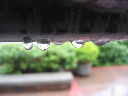 Rain on a Railing