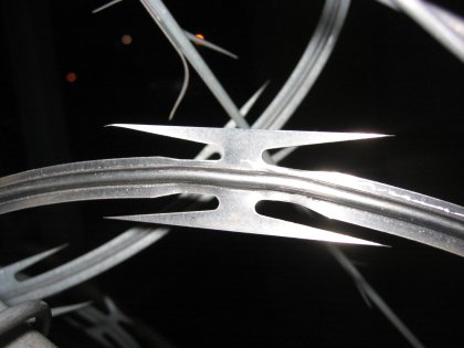 A close up of one of the blades on this particular segment of razor wire. Does that look sharp to you?