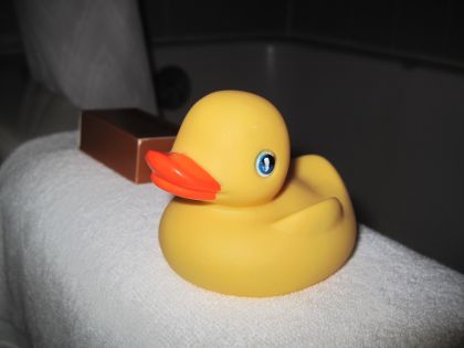 Chester the Rochestser Rubber Duckie