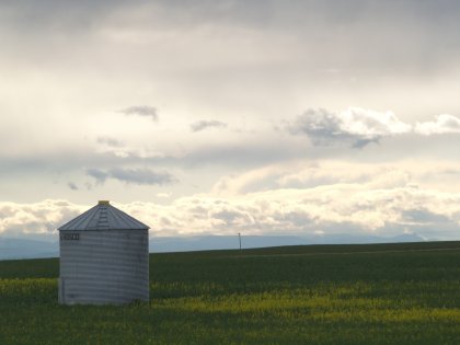Wheat field with a silo