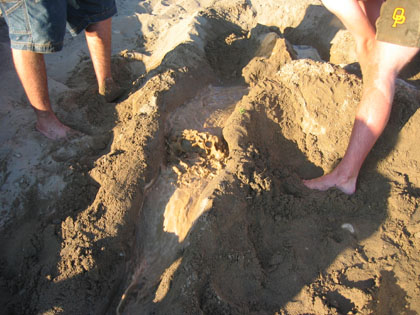 Baynes Lake 2005 > Sandcastle > Picture 27
 (Click on image for a larger view)