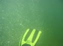 Baynes Lake 2005 -> Underwater -> Picture 8