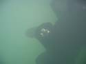 Baynes Lake 2005 -> Underwater -> Picture 12