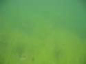 Baynes Lake 2005 -> Underwater -> Picture 42