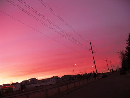 Sunrise with Telephone Poles