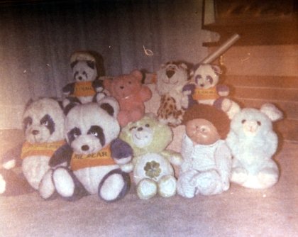 A collection of all our stuffed animals, posing