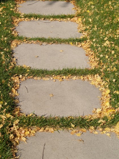 Leafy Sidewalk