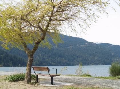A bench beside the water