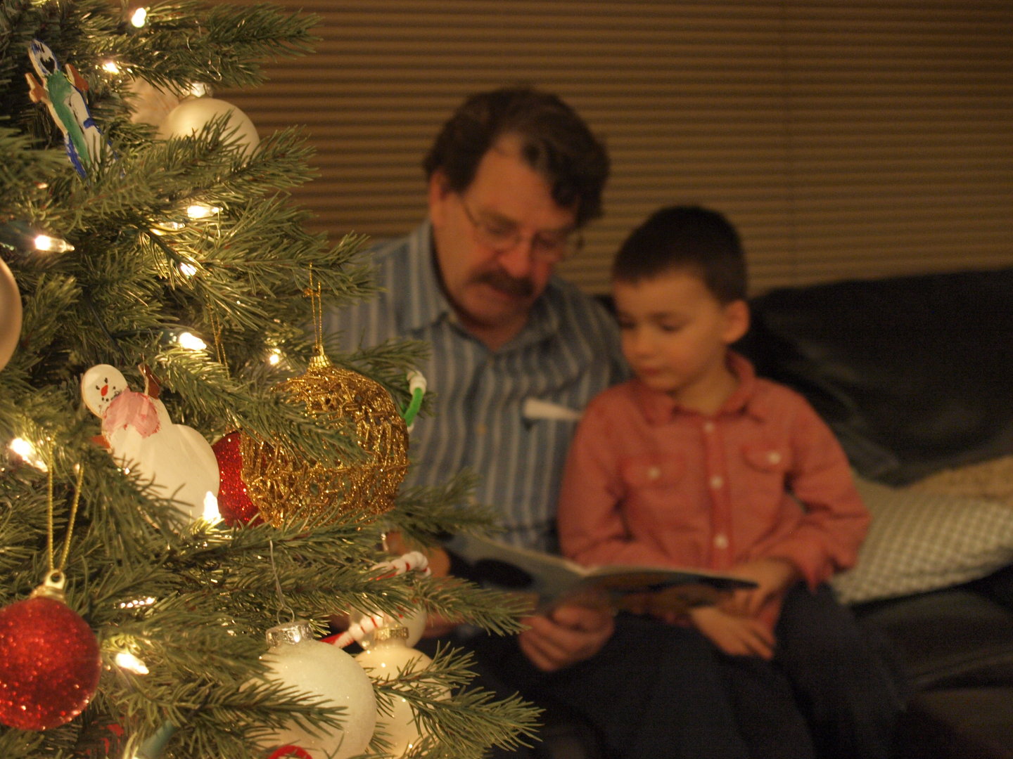 Storytime with Grandpa By The Christmas Tree
