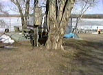 Pine Lake 2002 -> April 24 -> Picture 7